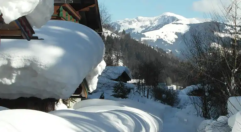 Apartment in Viehhofen