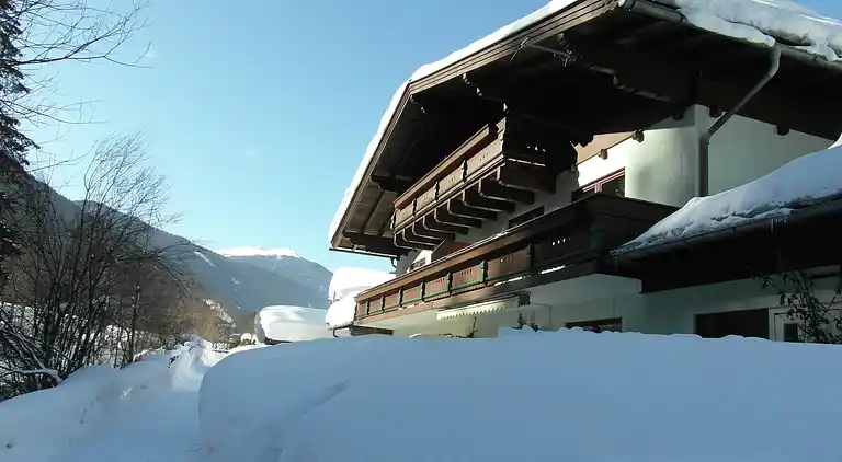 Apartment in Viehhofen