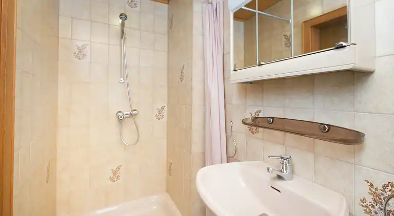 Apartment in Viehhofen