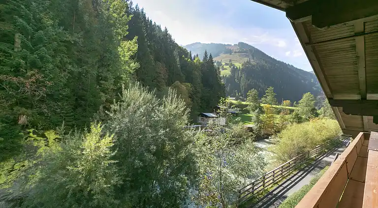 Apartment in Viehhofen