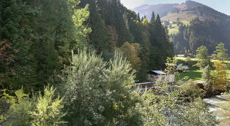 Apartment in Viehhofen