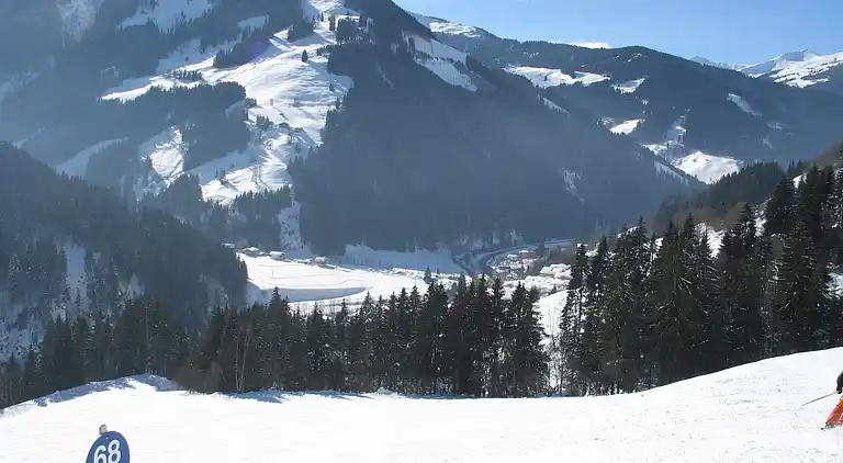 Apartment in Viehhofen