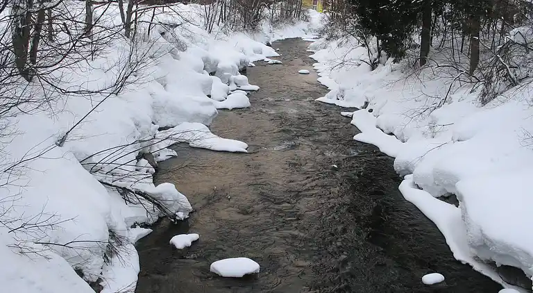 Apartment in Viehhofen