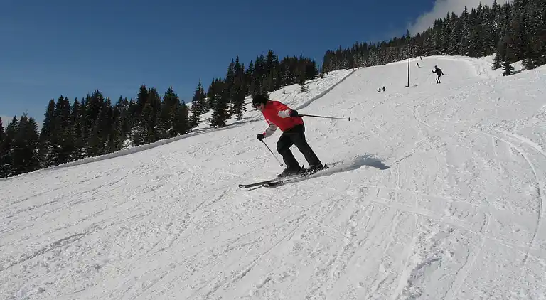 Apartment in Viehhofen