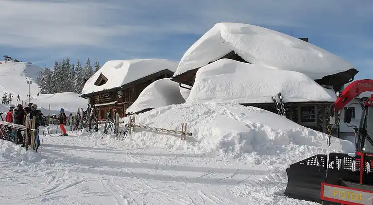 Apartment in Viehhofen
