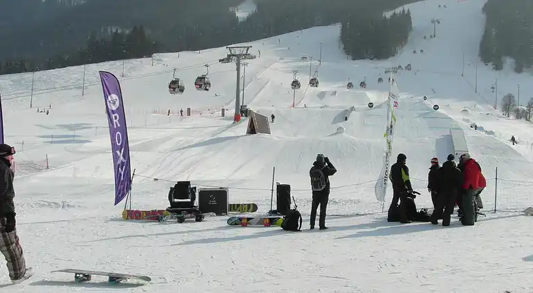 Apartment in Viehhofen