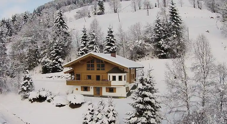 Cottage in Viehhofen