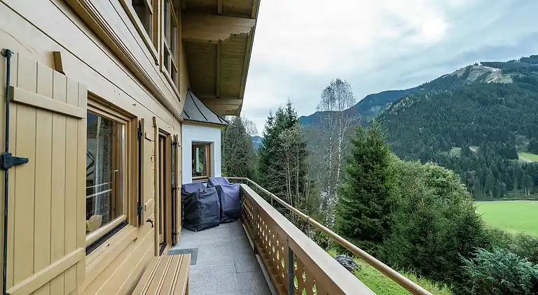 Cottage in Viehhofen