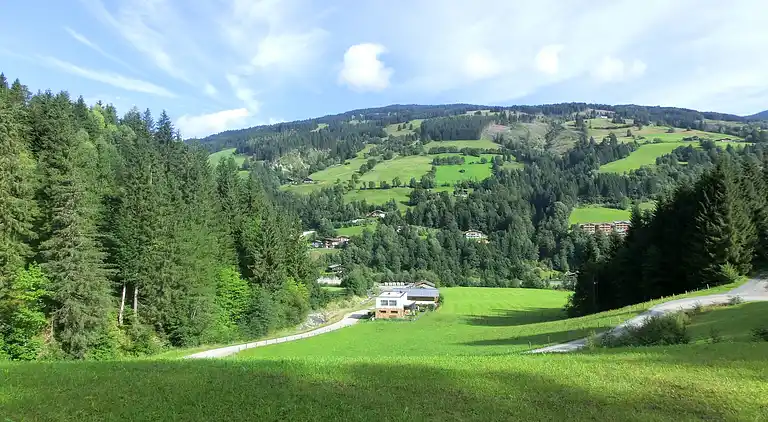 Cottage in Viehhofen