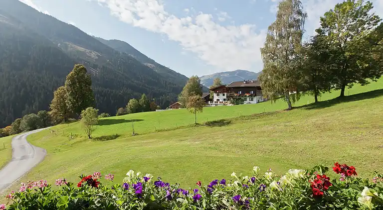 Ferielejlighed i Saalbach-Hinterglemm