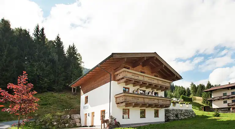 Apartment in Saalbach-Hinterglemm