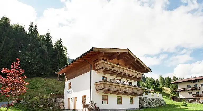 Ferielejlighed i Saalbach-Hinterglemm