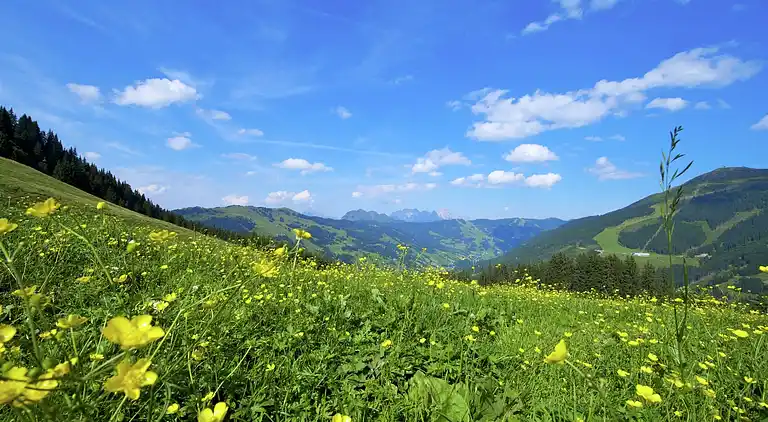 Sommerhus i Saalbach-Hinterglemm