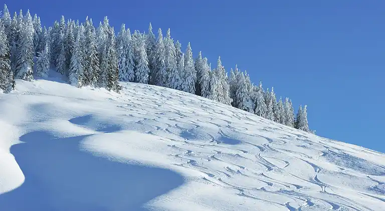 Cottage in Saalbach-Hinterglemm