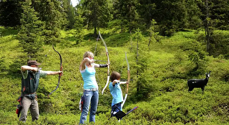 Cottage in Saalfelden am Steinernen Meer