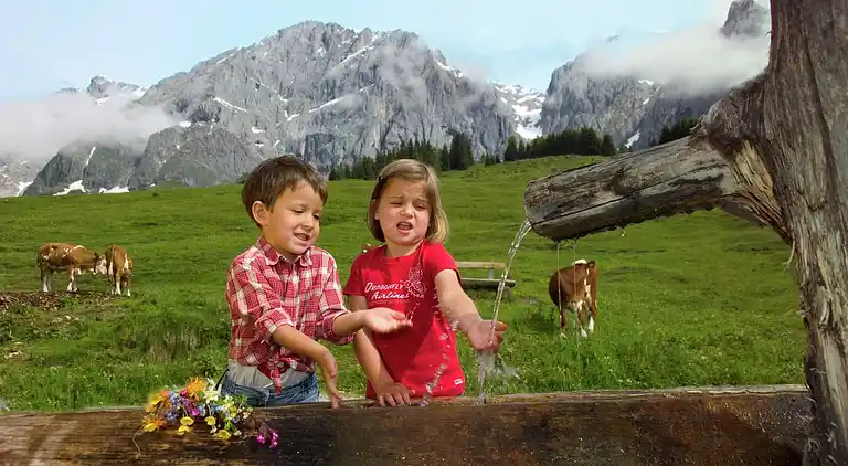 Cottage in Saalfelden am Steinernen Meer