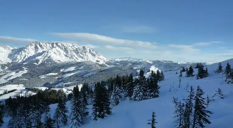 Apartment in Schinking