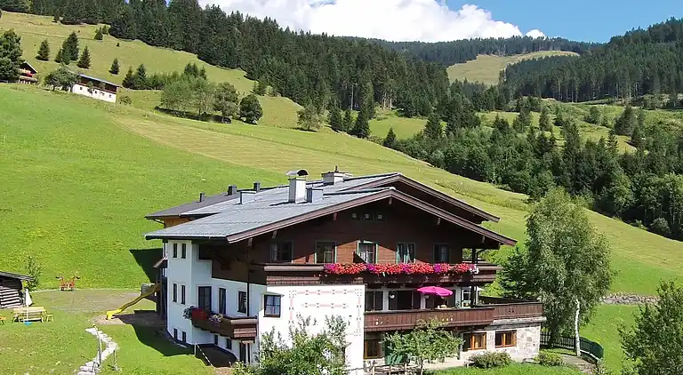 Apartment in Bachwinkl