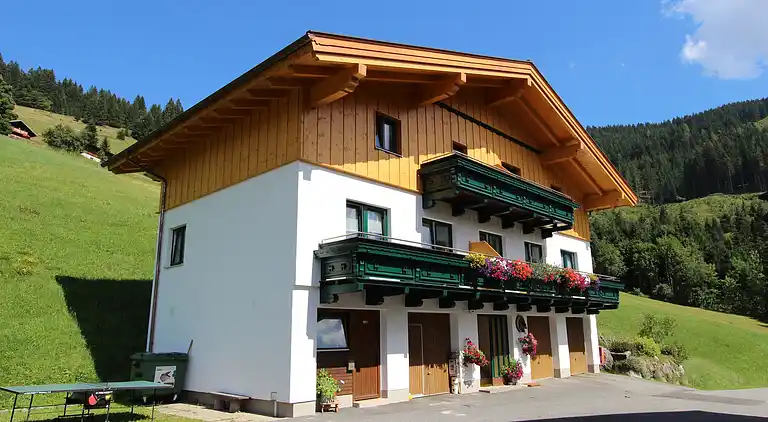 Feriebolig i Maria Alm am Steinernen Meer