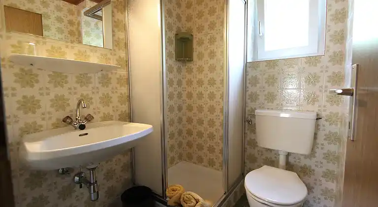 Feriebolig i Maria Alm am Steinernen Meer