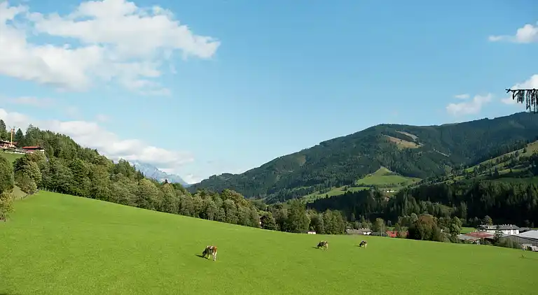 Apartment in Leogang