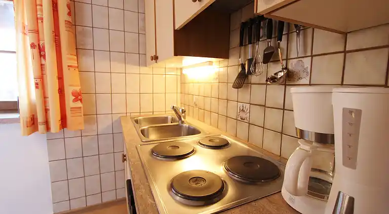 Apartment in Leogang