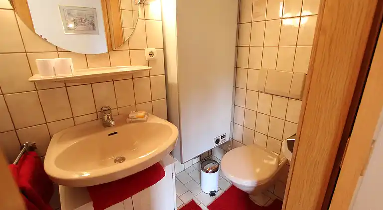 Apartment in Leogang