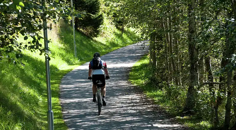 Apartment in Fulpmes