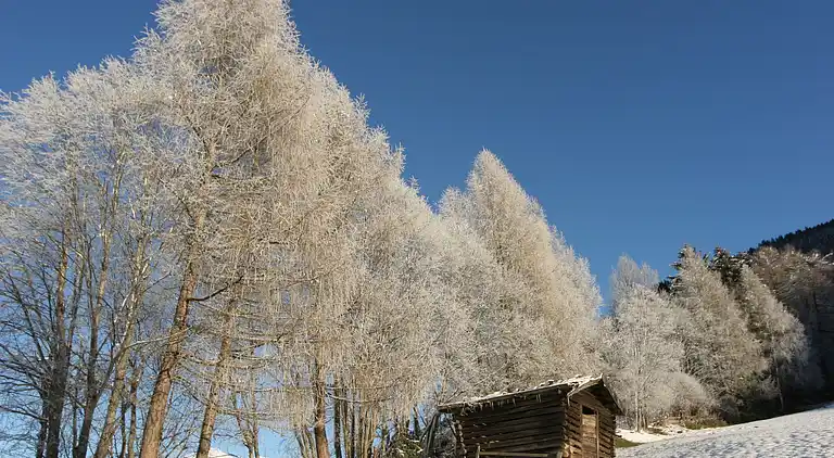 Apartment in Neustift im Stubaital