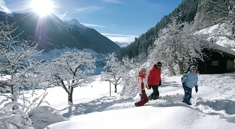 Apartment in Neustift im Stubaital