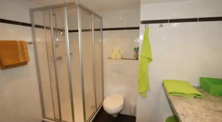 Apartment in Alpbach