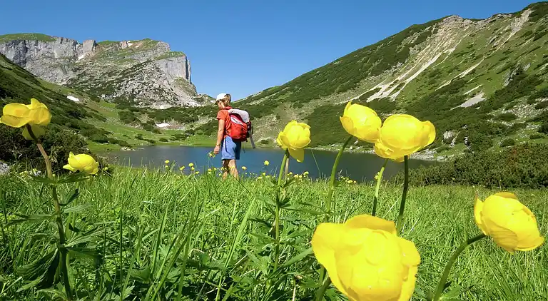 Apartment in Alpbach