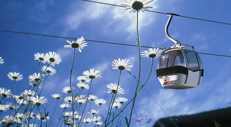 Apartment in Alpbach