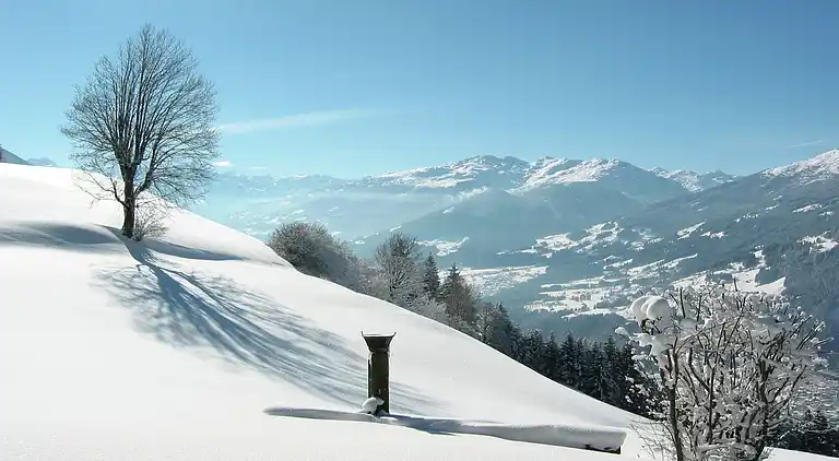 Apartment in Alpbach