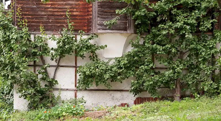 Farm house in Hart im Zillertal