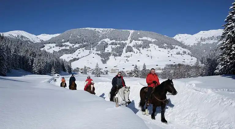 Ferielejlighed i Kleinboden