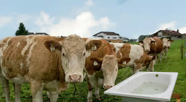 Holiday home in Fügen