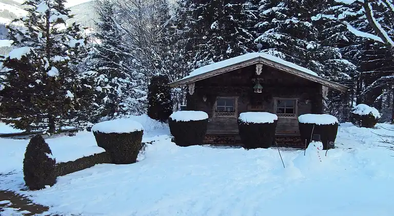 Apartment in Ried im Zillertal