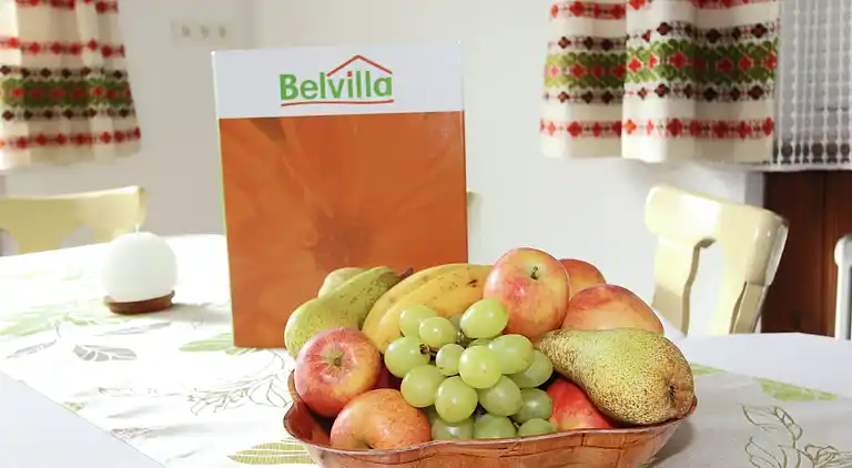 Apartment in Aschau im Zillertal