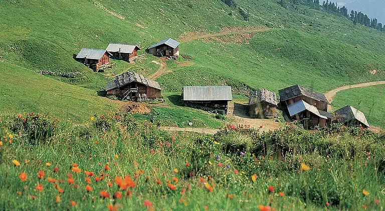 Ferielejlighed i Aschau im Zillertal