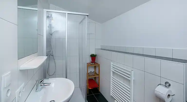 Apartment in Gerlosberg