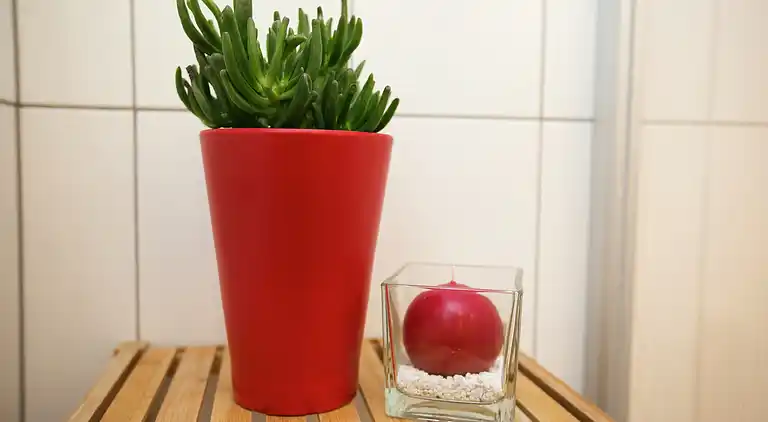 Apartment in Gerlosberg