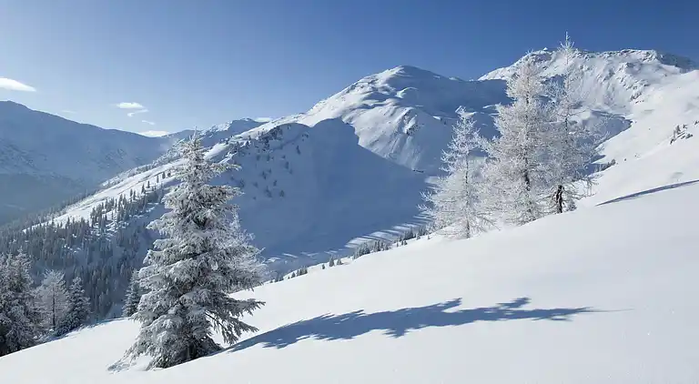 Ferielejlighed i Gerlosberg