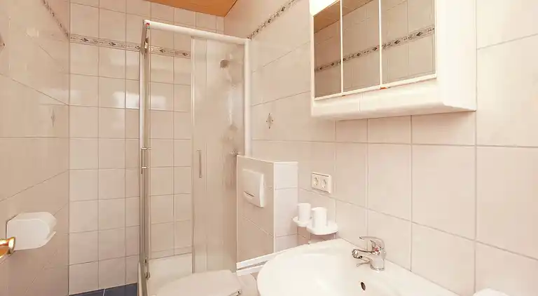 Apartment in Gerlosberg