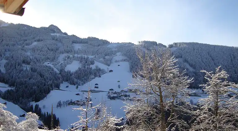 Apartment in Gerlosberg