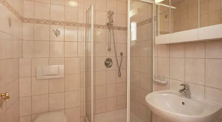 Apartment in Gerlosberg