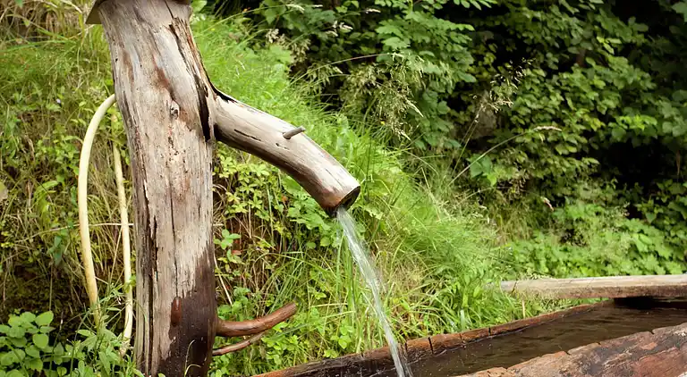 Apartment in Gerlosberg