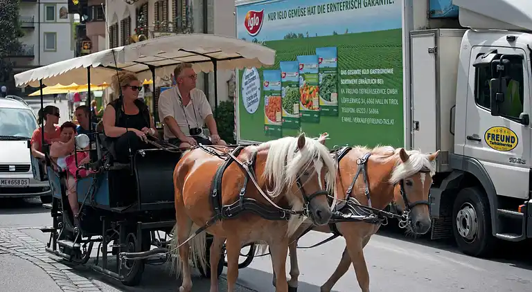 Holiday home in Zell am Ziller