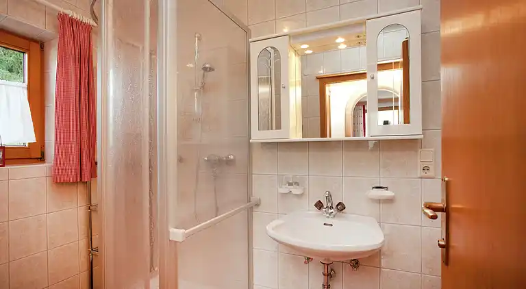 Apartment in Gerlosberg