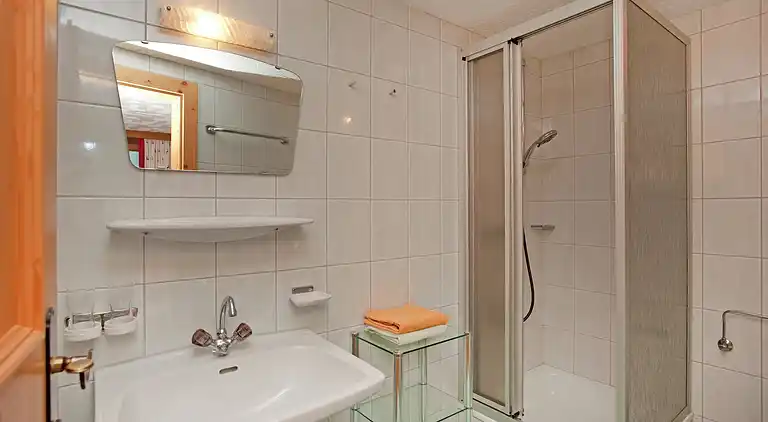 Apartment in Gerlosberg